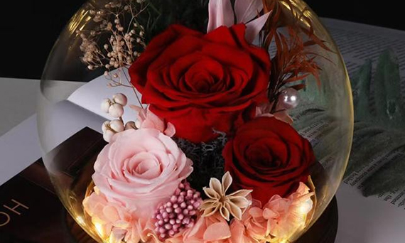 ¿Cómo cuidar y mantener las flores preservadas?