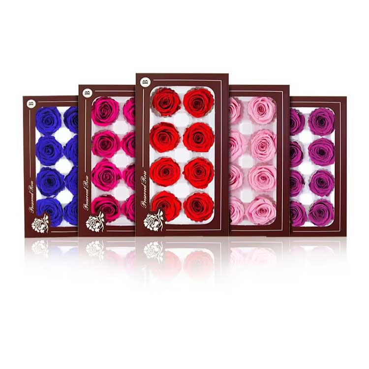 Caja Regalo Rosa Flor Eterna 8 Flores